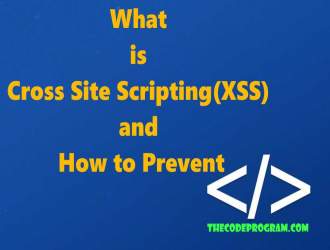 What is Cross Site Scripting(XSS) and How to Prevent